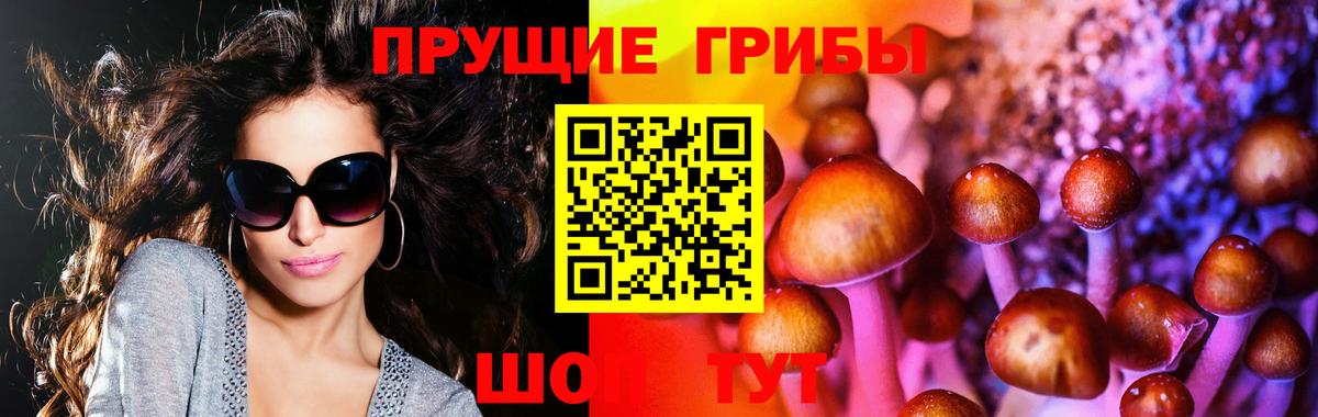 Псилоцибиновые грибы GOLDEN TEACHER  Галлюциногенные грибы ЛСД  Вход с VPN  Тосно 