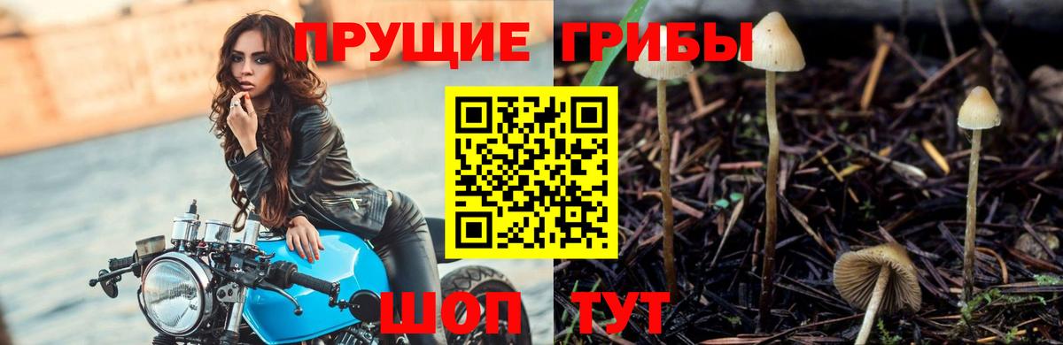 Галлюциногенные грибы мухоморы Тосно