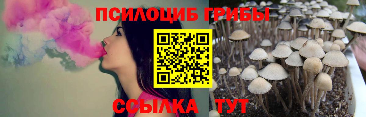 ГАШ  LSD-25  Вход с VPN  Тосно  COCAIN  Мефедрон кристаллы  Мефедрон  Бошки Шишки 